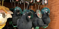 鎹鴉のマスコットキーチェーン（USJ鬼滅の刃グッズ2024）| キャステル | CASTEL ディズニー情報