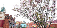 トゥーンタウン・ベビーセンター前の桜（アマノガワ）| キャステル | CASTEL ディズニー情報