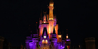 幻想的なシンデレラ城はパークのランドマーク| キャステル | CASTEL ディズニー情報