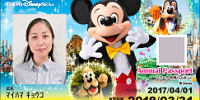 ディズニー年パス2パーク共通| キャステル | CASTEL ディズニー情報