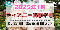 【2025年1月】ディズニー混雑予想！空いている日・混んでいる日はいつ？お正月&パルパルーザ第3弾スタート後の混雑は？