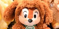 チップぬいぐるみバッジ| キャステル | CASTEL ディズニー情報