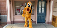 香港ディズニーのグリーティング：タウンスクエア付近のプルート| キャステル | CASTEL ディズニー情報