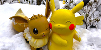ポケモンフォレストでポケモンの生態を観察！| キャステル | CASTEL ディズニー情報