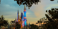 告白やプロポーズにもぴったりの夜景スポット| キャステル | CASTEL ディズニー情報