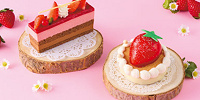 ベリーベリー・ショコラ／ストロベリームース＆パウンドケーキ| キャステル | CASTEL ディズニー情報