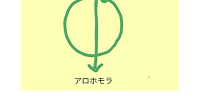 アロホモラ| キャステル | CASTEL ディズニー情報