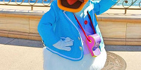 ドナルドのプロフィール| キャステル | CASTEL ディズニー情報