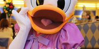 デイジーのプロフィール| キャステル | CASTEL ディズニー情報