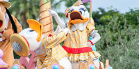 日づけ別でチェック！ディズニー混雑度ランキング| キャステル | CASTEL ディズニー情報