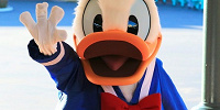 ドナルドダック| キャステル | CASTEL ディズニー情報