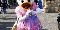 デイジーダック| キャステル | CASTEL ディズニー情報