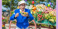 ファン・カストーディアル| キャステル | CASTEL ディズニー情報