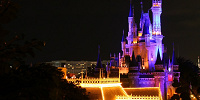 スイスファミリー・ツリーハウスからの夜景| キャステル | CASTEL ディズニー情報