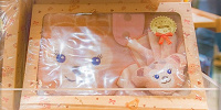 ギフトセット（4000円）| キャステル | CASTEL ディズニー情報