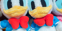 ドナルドモコモコぬいぐるみ| キャステル | CASTEL ディズニー情報