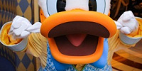 こんな至近距離の写真も撮れちゃいます| キャステル | CASTEL ディズニー情報