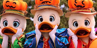 ヒューイ・デューイ・ルーイ3人の性格は？| キャステル | CASTEL ディズニー情報