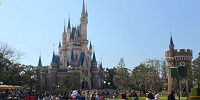種類と値段| キャステル | CASTEL ディズニー情報