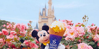 チケットのお値段をチェックしてみましょう！| キャステル | CASTEL ディズニー情報