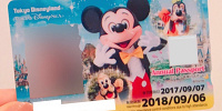 来園回数が多い人におすすめの年間パスポート| キャステル | CASTEL ディズニー情報