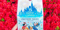 プレビュー招待券| キャステル | CASTEL ディズニー情報