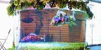 水槽を泳ぐ魚ロボット| キャステル | CASTEL ディズニー情報