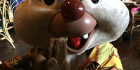 ポリネシアンレストランのデール| キャステル | CASTEL ディズニー情報