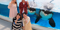 公式ホテルに泊まればシャチとの記念撮影も可能| キャステル | CASTEL ディズニー情報