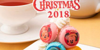 ハイピリオン・ラウンジのケーキセット| キャステル | CASTEL ディズニー情報