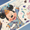 ディズニーの年間パスポートは貸し借りできるの