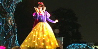 エレクトリカルパレード・ドリームライツ| キャステル | CASTEL ディズニー情報