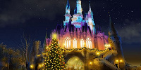 シンデレラ城裏のクリスマスツリー| キャステル | CASTEL ディズニー情報