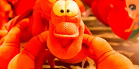 【セバスチャン】アリエルのお世話係は音楽家のカニ！映画『リトル・マーメイド』のキャラクター雑学！