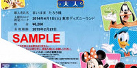 ディズニーeチケット| キャステル | CASTEL ディズニー情報
