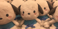 ぬいぐるみ エンジェル（M）ポチャッコ| キャステル | CASTEL ディズニー情報