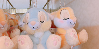 ぬいぐるみバッジ| キャステル | CASTEL ディズニー情報