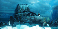名古屋港水族館のペンギンたち| キャステル | CASTEL ディズニー情報