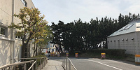 左折直後の道| キャステル | CASTEL ディズニー情報