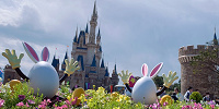 デコレーション| キャステル | CASTEL ディズニー情報