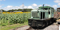 トロッコ列車| キャステル | CASTEL ディズニー情報