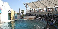 イルカライブ館| キャステル | CASTEL ディズニー情報
