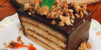 あんずとショコラのしましまケーキ| キャステル | CASTEL ディズニー情報