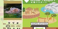 天王寺動物園【料金】年間パスポートの料金| キャステル | CASTEL ディズニー情報