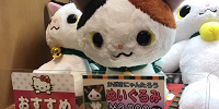 かぶきにゃんたろう　ぬいぐるみ| キャステル | CASTEL ディズニー情報