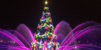 カラー・オブ・クリスマスの様子| キャステル | CASTEL ディズニー情報
