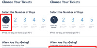 チケットの日数を選択し、1dayチケットなら入園日を決定する| キャステル | CASTEL ディズニー情報