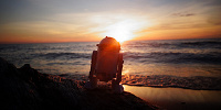 作中であまり登場しない海とR2-D2| キャステル | CASTEL ディズニー情報