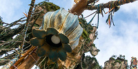 Pandora - The World of Avatar 照明（アニマルキングダム・昼） 設定：22㎜ SS1/500 F5.0 ISO100| キャステル | CASTEL ディズニー情報