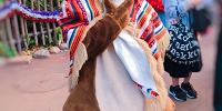 チップとのグリーティング| キャステル | CASTEL ディズニー情報